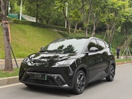BYD Seagull 2024