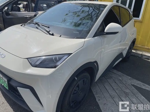 BYD Seagull 2024