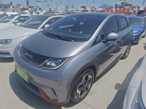 BYD Dolphin 2022