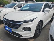 Wuling Victory 2021