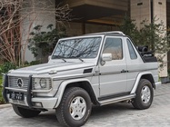 Mercedes-Benz G-Class 1999