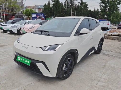 BYD Seagull 2023