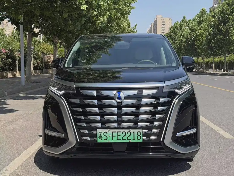 Denza D9