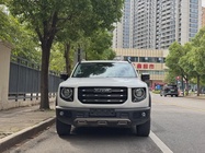 Haval Big Dog 2021