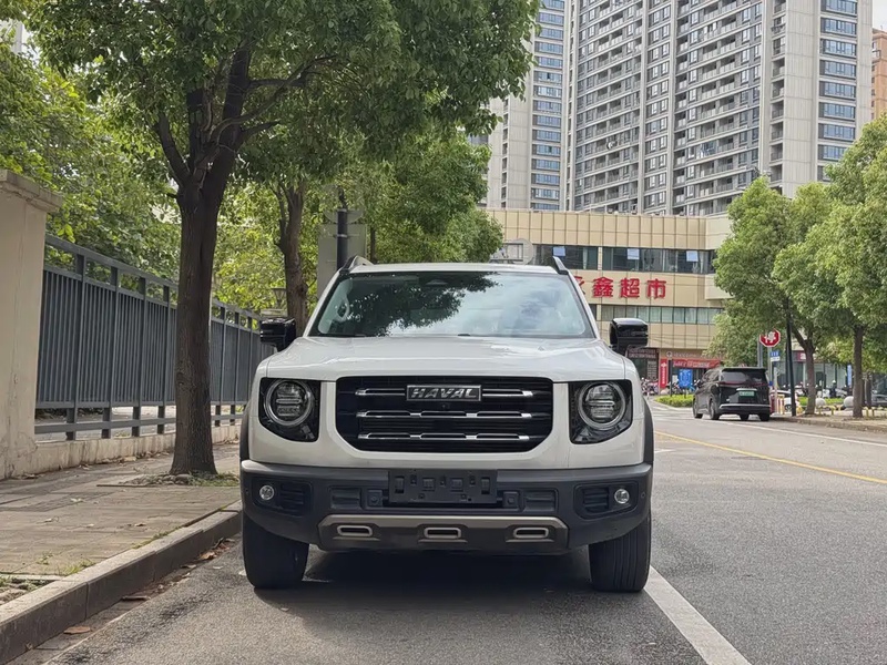 Haval Big Dog