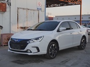 BYD Surui 2016
