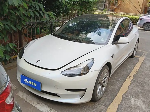 Tesla Model 3 2021