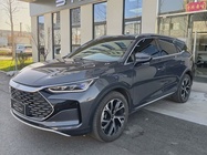 BYD Surui 2024