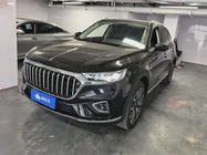 Hongqi HS5 2021