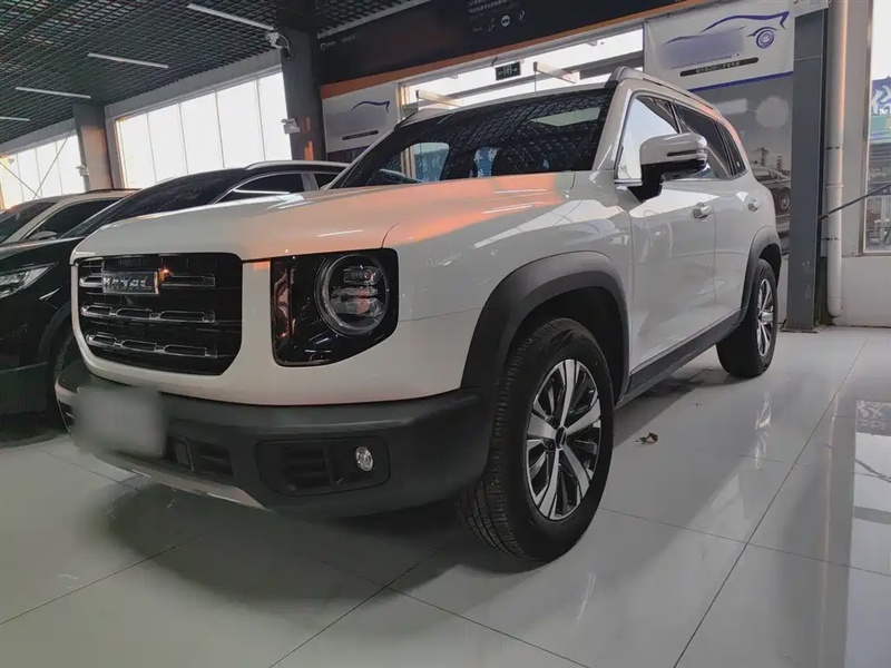 Haval Big Dog