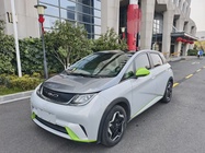 BYD Dolphin 2022