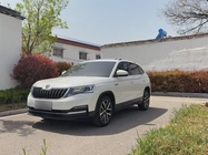 Skoda Kamiq 2019