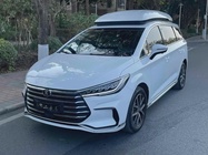 BYD Surui 2022