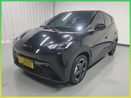 BYD Seagull 2024