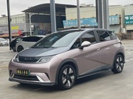 BYD Dolphin 2022