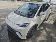 BYD Seagull 2024