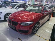 BMW 2 Series 2019