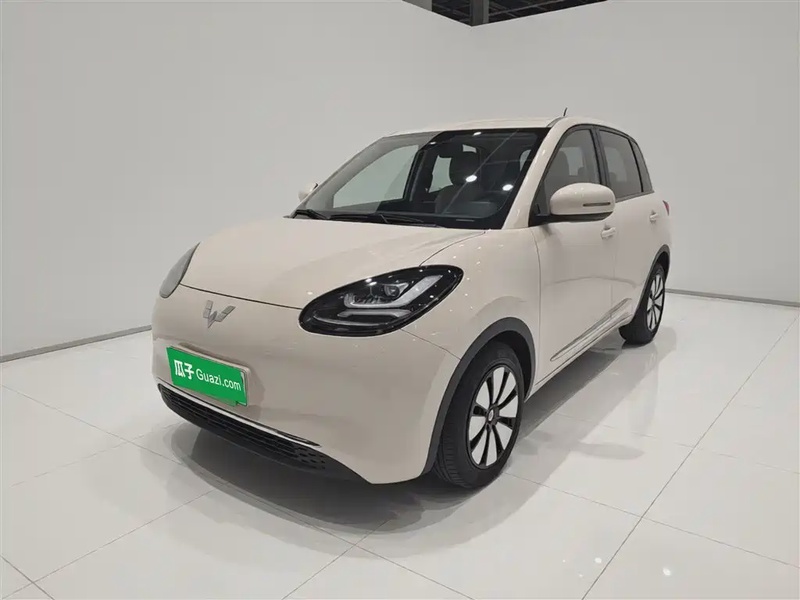 Wuling Bingo