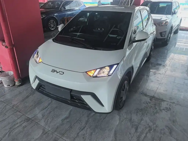 BYD Seagull