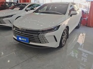 BYD Destroyer 2024
