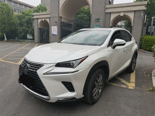 Lexus NX 2019