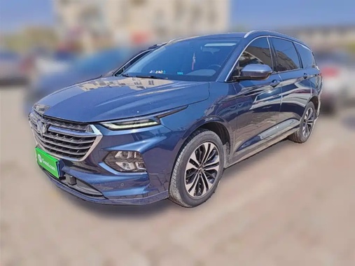 Wuling Victory 2021