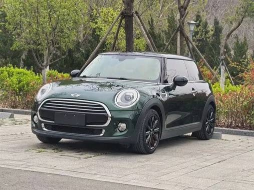 MINI Other 2018