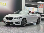 BMW 2 Series 2019