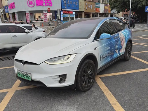 Tesla Model X 2019