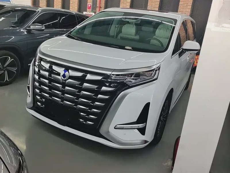 Denza D9