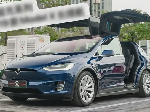 Tesla Model X 2019