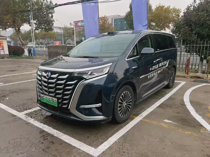 Denza D9