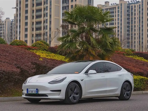 Tesla Model 3 2020