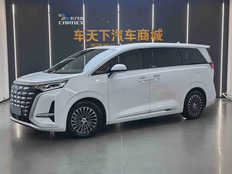 Denza D9