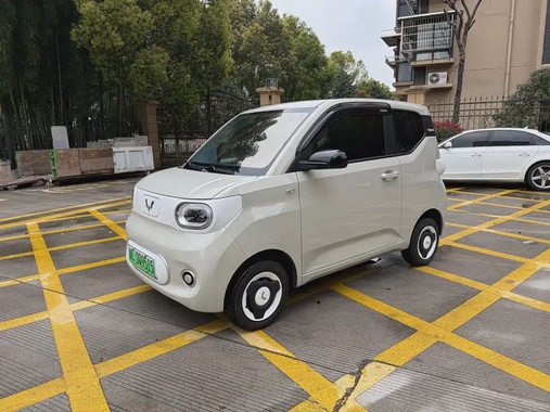 Wuling Mini 2024