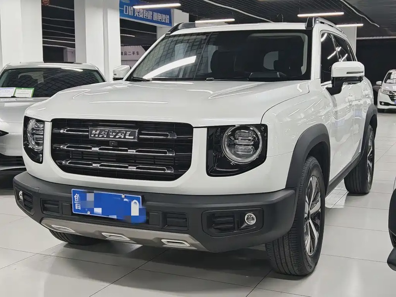 Haval Big Dog