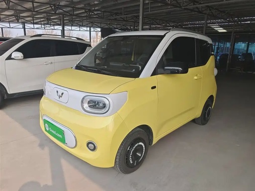 Wuling Mini 2024