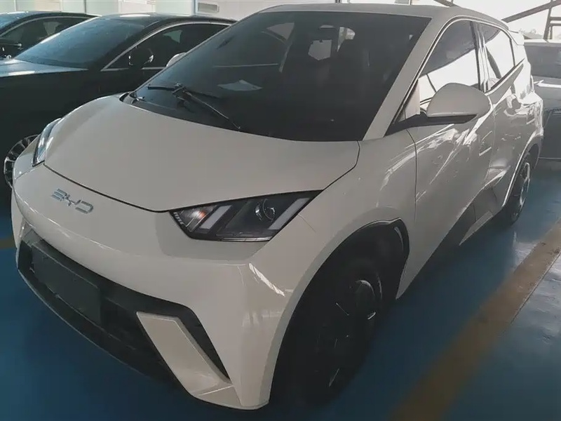 BYD Seagull