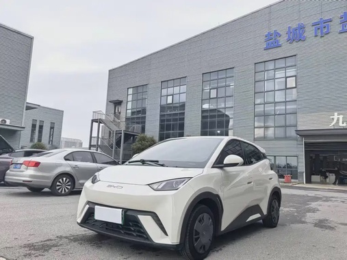 BYD Seagull 2023