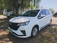 Wuling Jiachen 2024