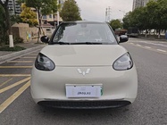 Wuling Bingo 2024