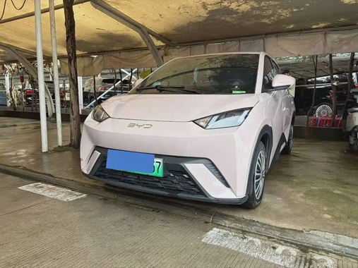 BYD Seagull 2024