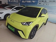BYD Seagull 2024
