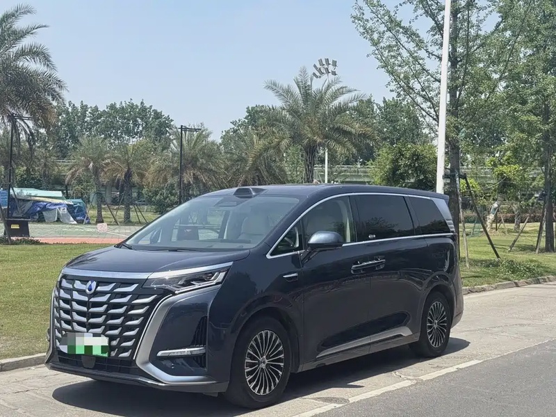 Denza D9