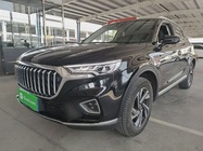 Hongqi HS5 2021
