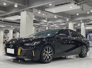 GAC Shadow Leopard 2021