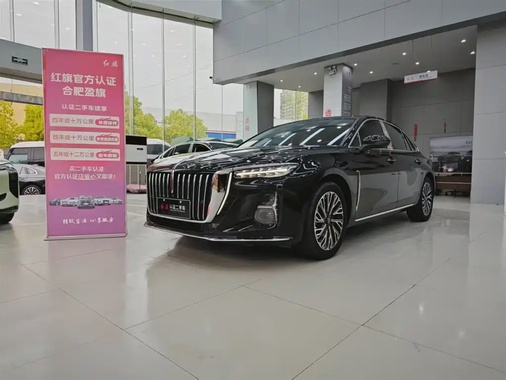 Hongqi H5 2024