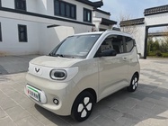Wuling Mini 2024
