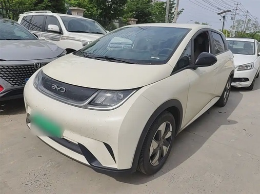 BYD Dolphin 2024
