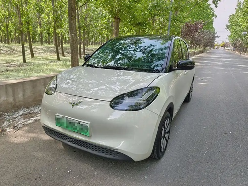 Wuling Bingo 2024